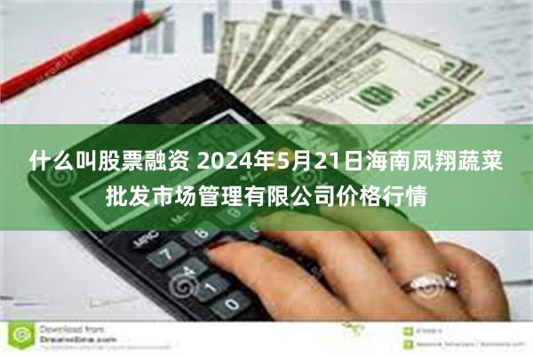 什么叫股票融资 2024年5月21日海南凤翔蔬菜批发市场管理